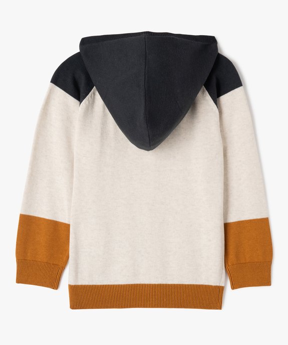 Gilet à capuche tricolore zippé garçon vue3 - GEMO (ENFANT) - GEMO