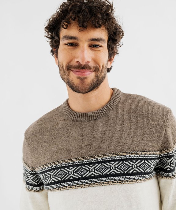 Pull col rond à bande jacquard homme vue1 - GEMO (HOMME) - GEMO