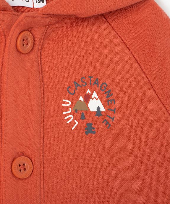 Sweat bébé garçon à capuche avec boutons - LuluCastagnette vue3 - LULUCASTAGNETTE - GEMO