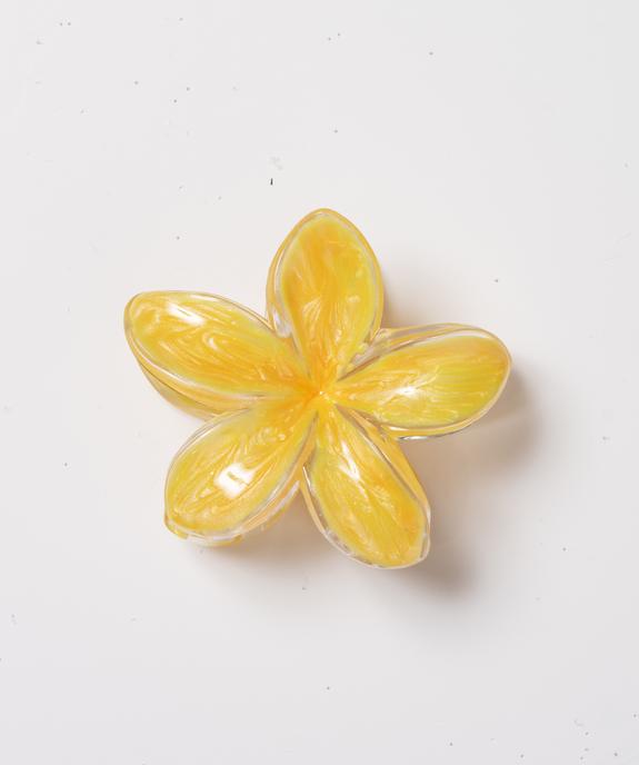 Pince à cheveux crabe en forme de fleur vue1 - GEMO (ACCESS) - GEMO