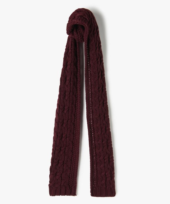 Echarpe femme en grosse maille torsadée vue1 - GEMO (ACCESS) - GEMO