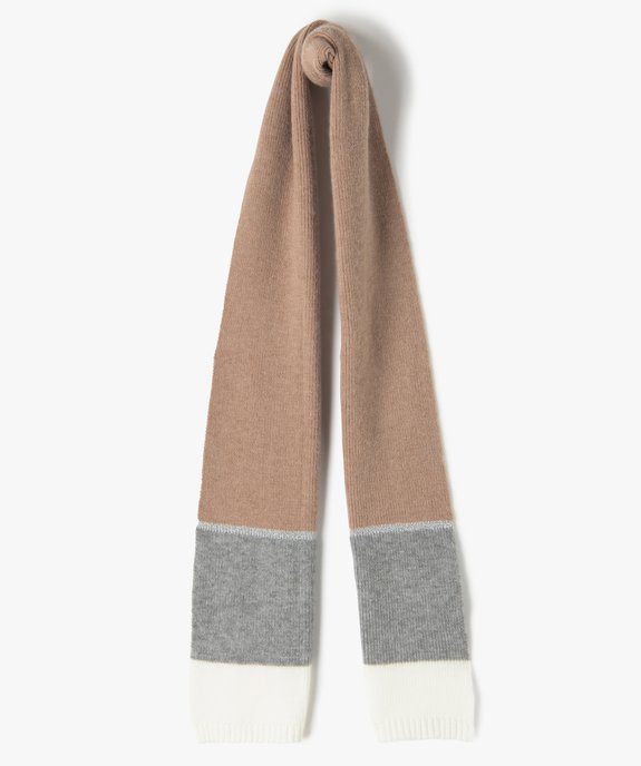 Echarpe femme tricolore avec bande pailletée vue1 - GEMO (ACCESS) - GEMO