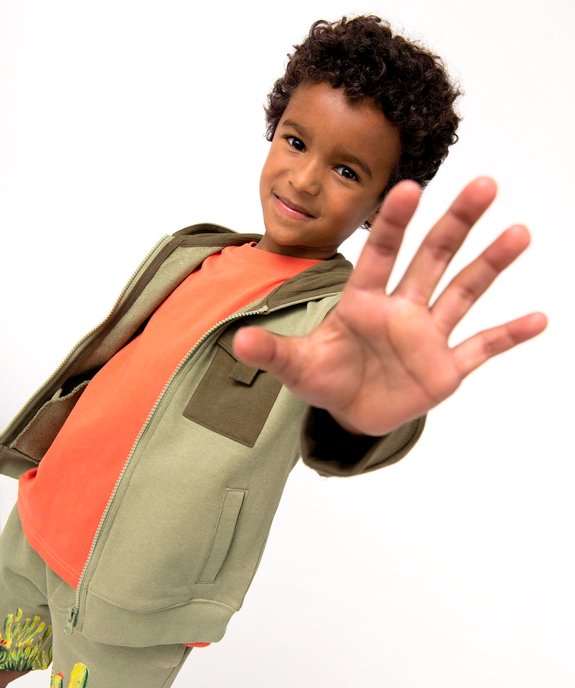 Sweat garçon bicolore à capuche fermeture zippée vue6 - GEMO (ENFANT) - GEMO