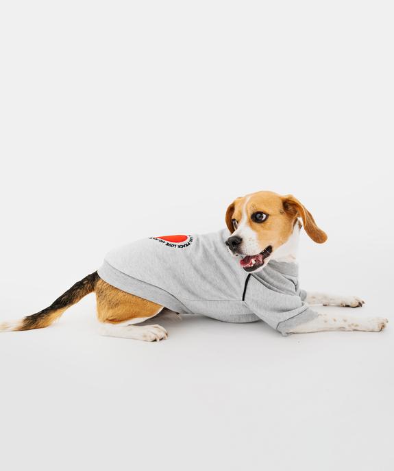 Sweat cocooning pour chien vue4 - GEMO (ACCESS) - GEMO