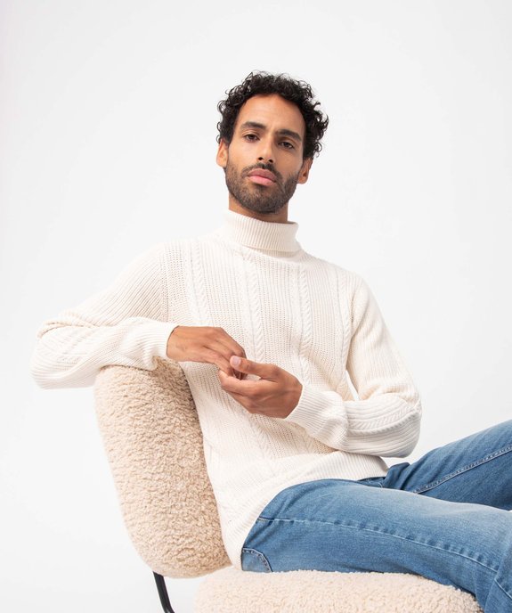 Pull homme en maille torsadée à col roulé vue1 - GEMO (HOMME) - GEMO