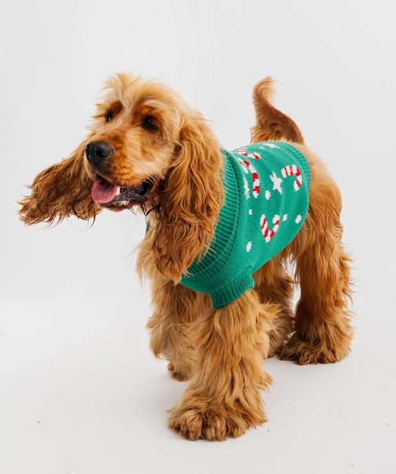 Pull tricot Noël pour chien vue2 - GEMO (ACCESS) - GEMO