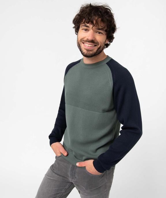 Pull homme bicolore à maille fantaisie vue1 - GEMO (HOMME) - GEMO