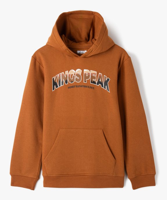 Sweat molletonné à capuche garçon vue1 - GEMO 4G GARCON - GEMO