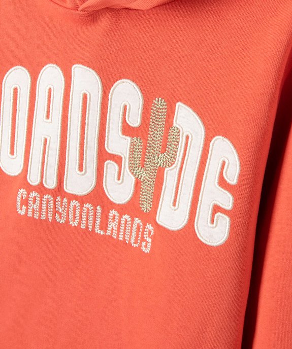 Sweat garçon à capuche avec inscription brodée  vue3 - GEMO (ENFANT) - GEMO