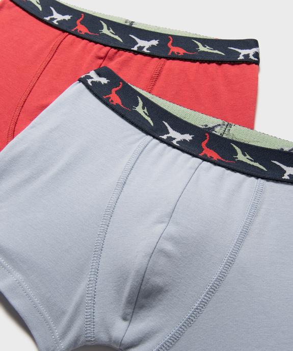 Boxers en coton stretch avec ceinture motif dinosaures garçon (lot de 2) vue2 - GEMO 4G GARCON - GEMO