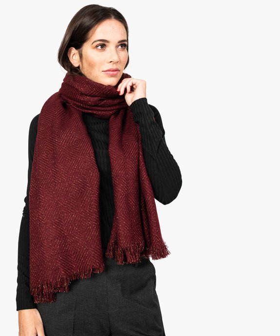 Echarpe plaid avec fil métallisé vue1 - GEMO (ACCESS) - GEMO