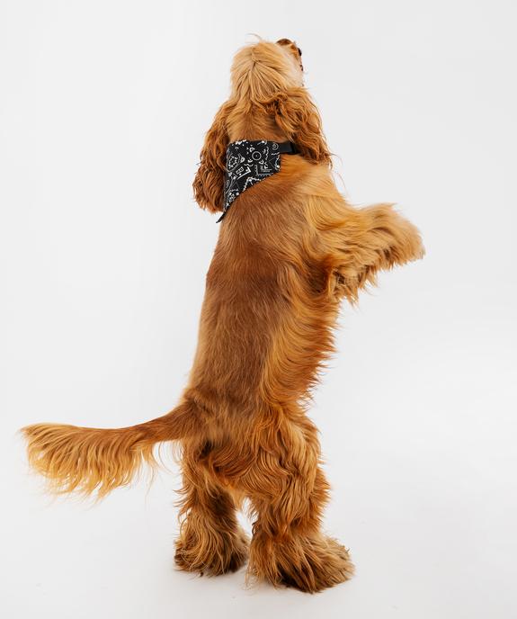 Bandana ajustable pour chien vue3 - GEMO (ACCESS) - GEMO