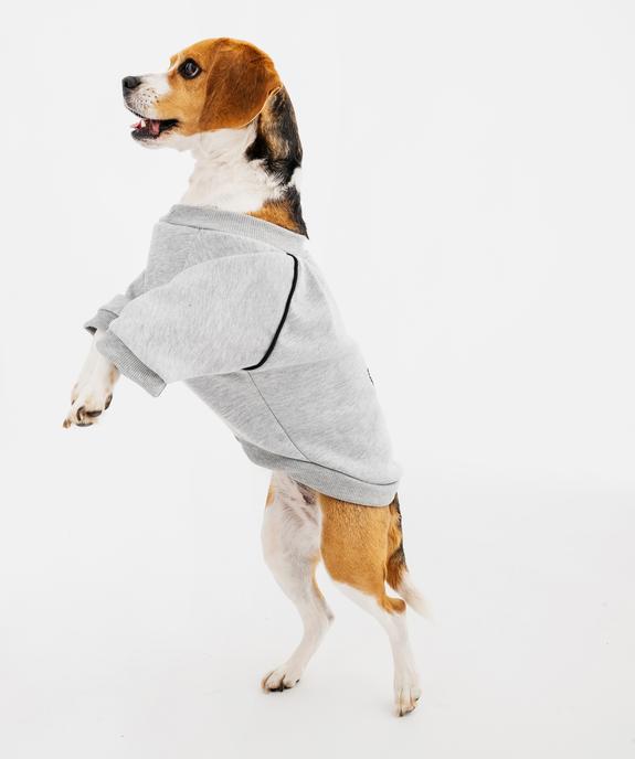 Sweat cocooning pour chien vue3 - GEMO (ACCESS) - GEMO