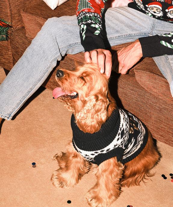 Pull de Noël pour chien vue5 - GEMO (ACCESS) - GEMO