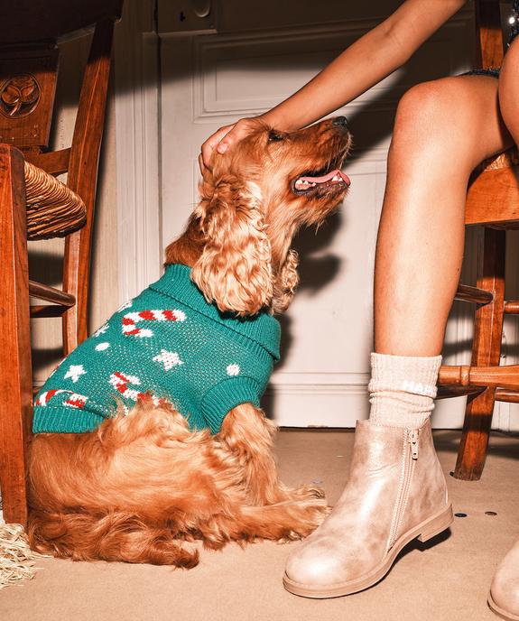 Pull tricot Noël pour chien vue7 - GEMO (ACCESS) - GEMO