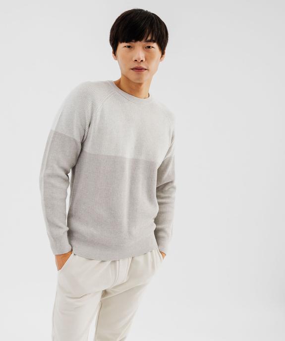 Pull en maille côtelée bicolore homme vue1 - GEMO 4G HOMME - GEMO