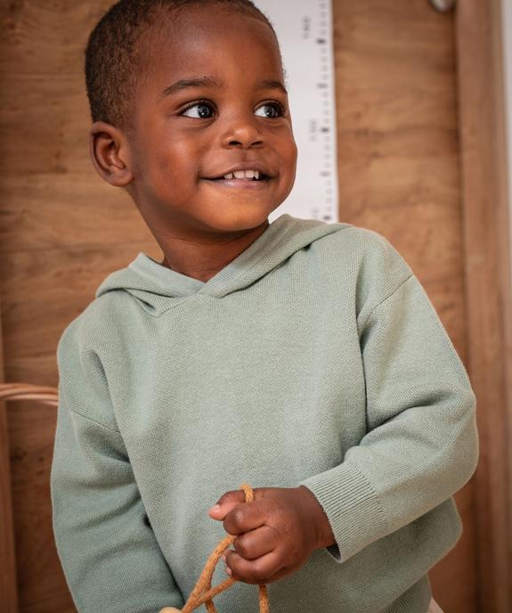 Pull à capuche en coton bébé garçon vue1 - GEMO(BEBE DEBT) - GEMO