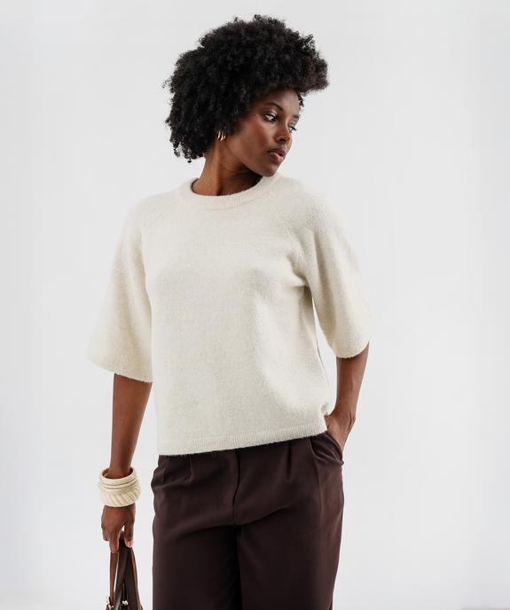 Pull manches courtes ample et douillet femme vue1 - GEMO(FEMME PAP) - GEMO