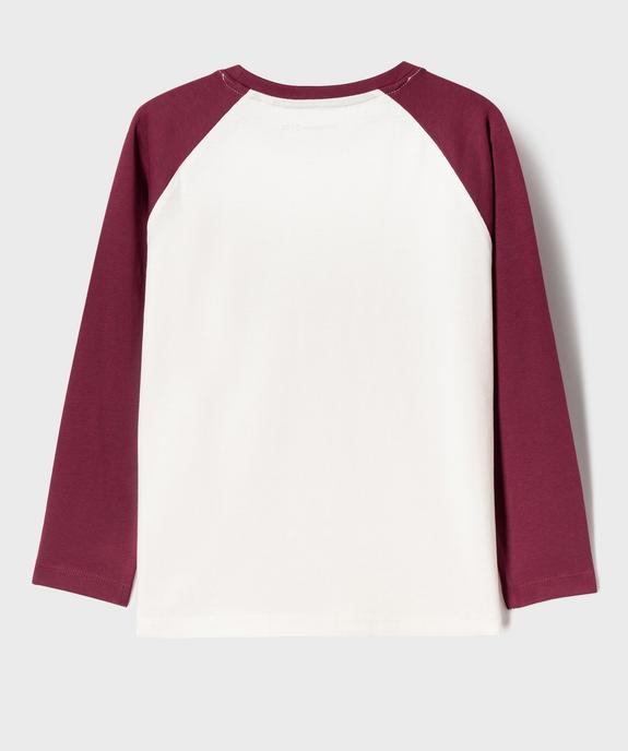 Tee-shirt manches longues raglan en jersey de coton imprimé garçon - LuluCastagnette vue3 - LULU CASTAGNETTE G4G D - GEMO