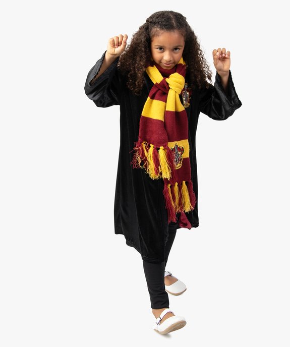 Écharpe Gryffondor déguisement Harry Potter vue4 - UNIVERSAL - GEMO