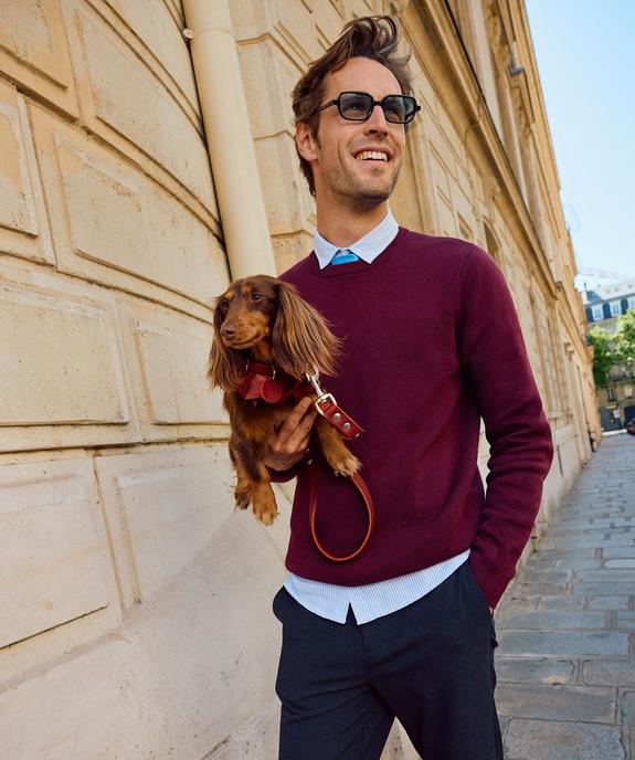 Pull en coton à col rond homme vue1 - GEMO (HOMME) - GEMO