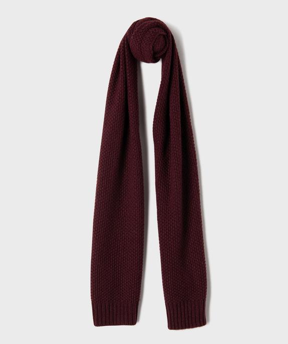 Echarpe en maille fantaisie homme - GEMO 4G HOMME Echarpe en maille fantaisie homme vue1 - GEMO 4G HOMME - GEMO