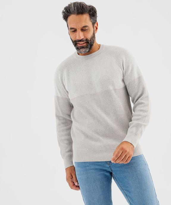 Pull en maille côtelée bicolore homme - GEMO 4G HOMME Pull en maille côtelée bicolore homme vue5 - GEMO 4G HOMME - GEMO