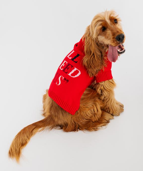 Pull en tricot pour chien vue2 - GEMO (ACCESS) - GEMO