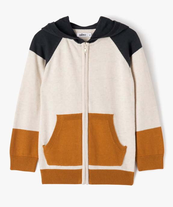 Gilet à capuche tricolore zippé garçon vue1 - GEMO (ENFANT) - GEMO