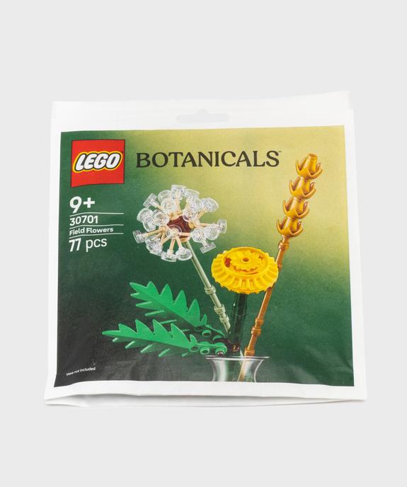 LEGO Botanicals Fleurs des champs Jouet pour enfant vue2 - LEGO - GEMO