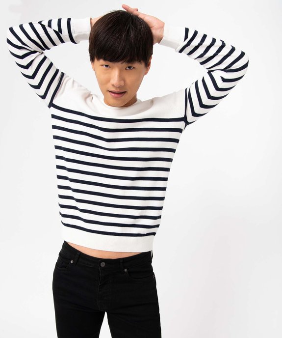 Pull homme à rayures vue1 - GEMO (HOMME) - GEMO