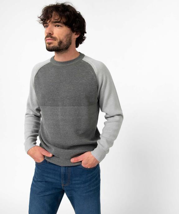 Pull homme bicolore à maille fantaisie vue1 - GEMO (HOMME) - GEMO