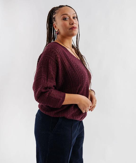Pull ajouré en maille scintillante femme grande taille vue1 - GEMO (G TAILLE) - GEMO