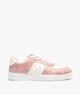 ROSE VIF
