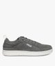 GRIS STANDARD