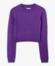 VIOLET STANDARD