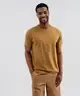 OCRE