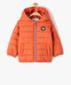 ORANGE STANDARD