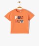 ORANGE STANDARD