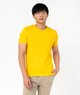 JAUNE STANDARD