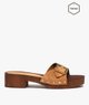 MARRON STANDARD