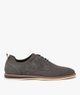GRIS STANDARD