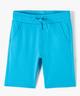 BLEU STANDARD