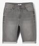 GRIS STANDARD