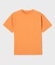ORANGE STANDARD
