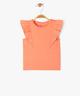 ORANGE STANDARD