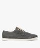GRIS STANDARD