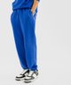 BLEU STANDARD