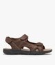 MARRON FONCE