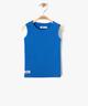 BLEU STANDARD